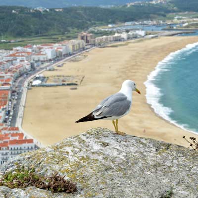 Nazare beach, portugalsko