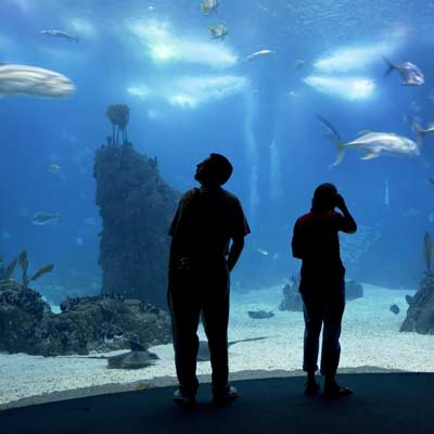 Oceanário de Lisboa