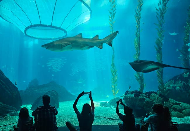 Oceanário de Lisboa