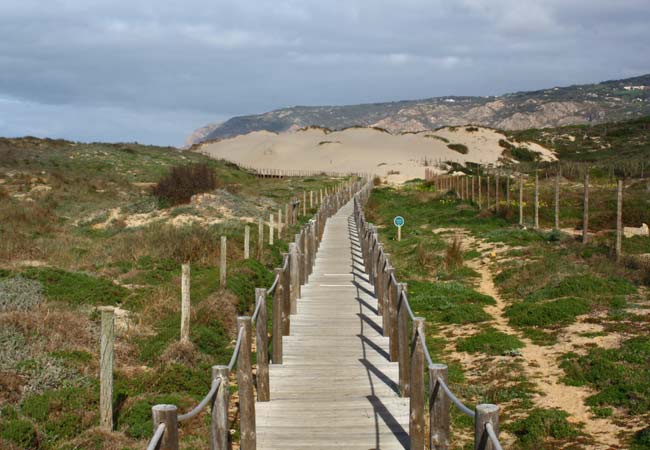 Praia do Guincho dunes