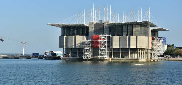 L’Oceanarium de Lisbonne