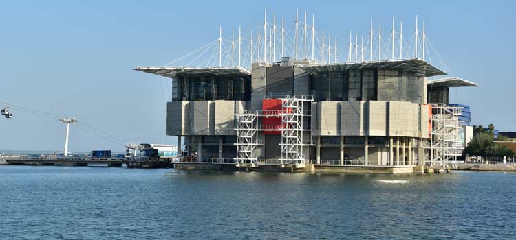 lisbon portugal oceanarium